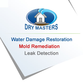 Water & Mold restoration Miami Gardens