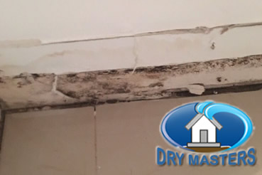 Mold removal in Miami Gardens